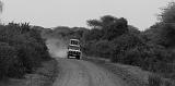 TANZANIA - Lake Manyara National Park - 32